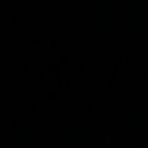 Meet your Posher, Kalie